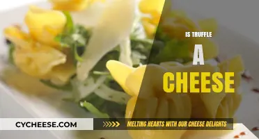 Truffle vs. Cheese: Unraveling the Myth of This Gourmet Delight
