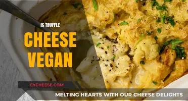 Is Truffle Cheese Vegan? Exploring Ingredients and Ethical Alternatives