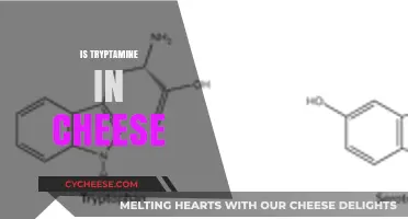 Tryptamine in Cheese: Unraveling the Myth and Science Behind It