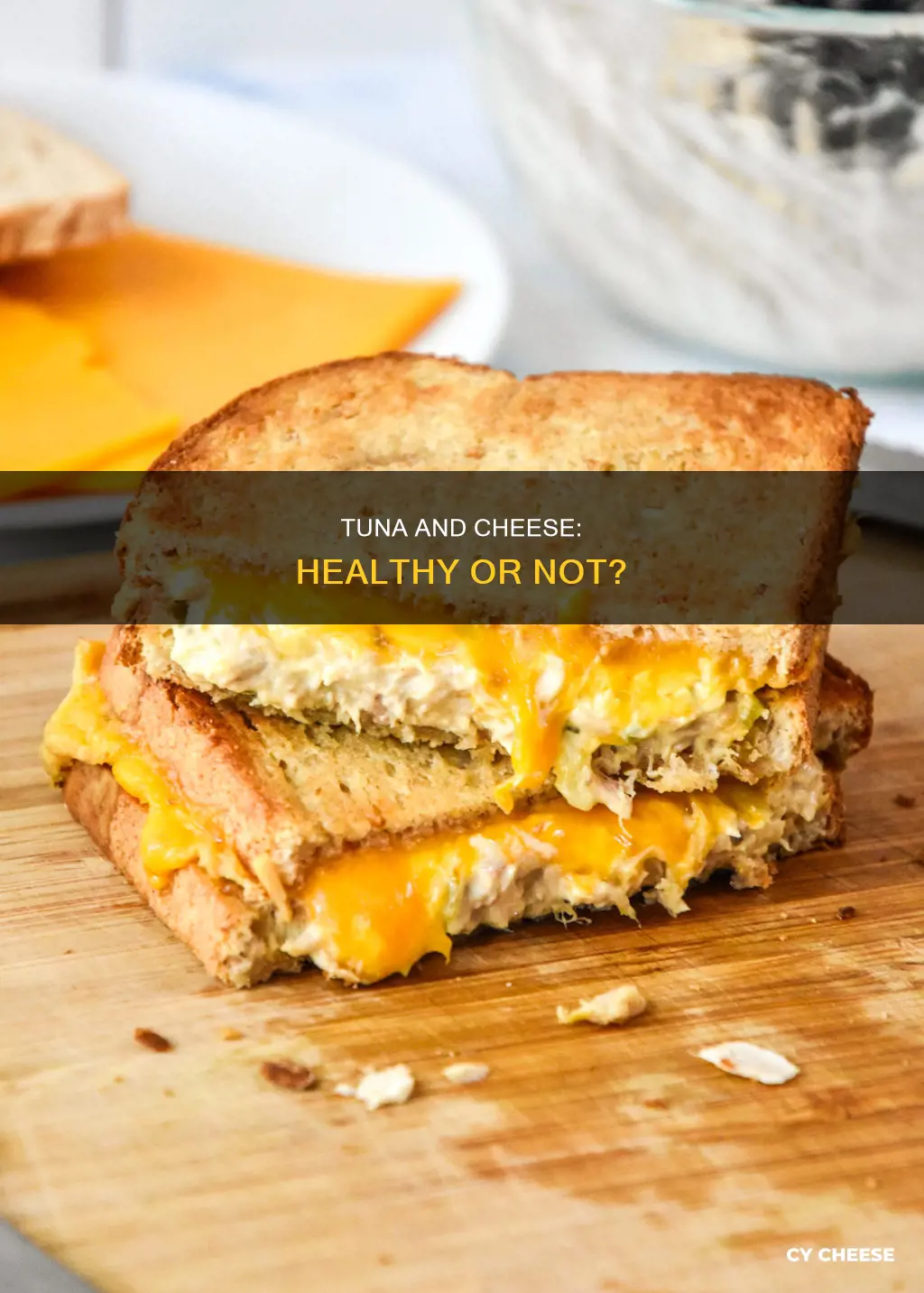 is tuna and cheese healthy