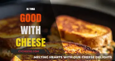 Tuna and Cheese: A Delicious Pairing or Culinary Misstep?
