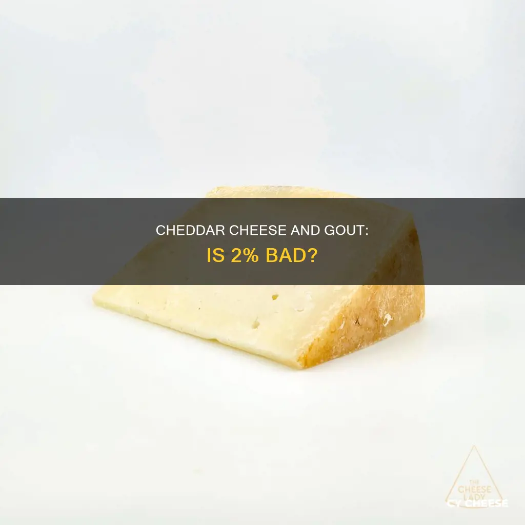 is two percent cheddar cheese bad for gout