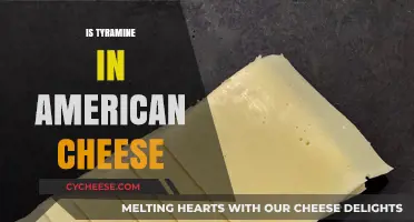 Tyramine in American Cheese: Uncovering the Truth About This Popular Food