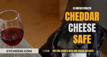 Unpasteurized Cheddar: Safe Snacking or Risky Business?