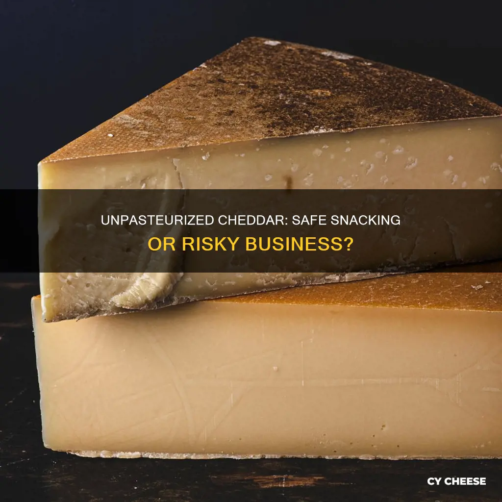 is unpasteurized cheddar cheese safe