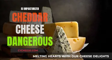 Unpasteurized Cheddar: Is It Safe to Eat?