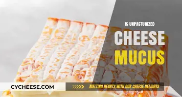 Unpasteurized Cheese and Mucus: Separating Fact from Fiction