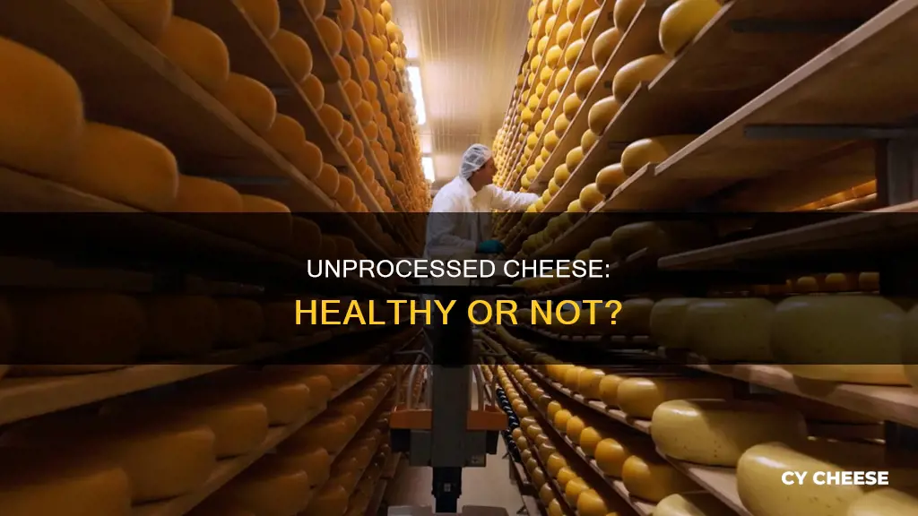 is unprocessed cheese healthy