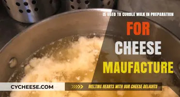 How Rennet Turns Milk Into Cheese