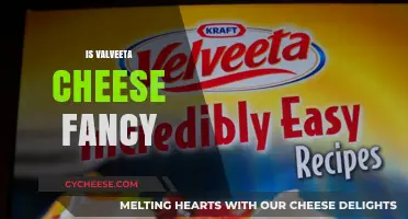 Is Velveeta Cheese Fancy? Debunking the Myth of Gourmet Cheese