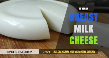 Exploring Vegan Breast Milk Cheese: Ethical, Nutritional, and Culinary Insights