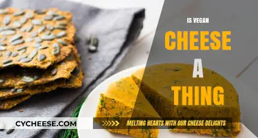 Is Vegan Cheese Real? Exploring Plant-Based Alternatives to Dairy