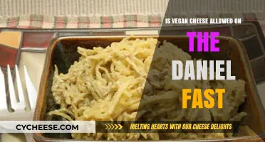 Can Vegans Enjoy Cheese While Observing the Daniel Fast?