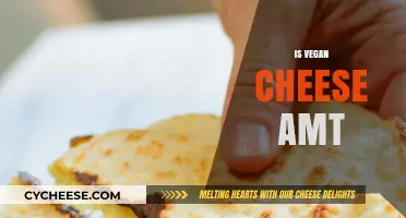 Is Vegan Cheese Actually Melt-in-Your-Mouth Tasty? A Review