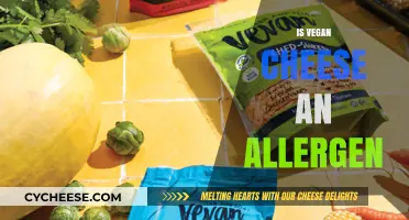 Is Vegan Cheese an Allergen? Understanding Ingredients and Risks