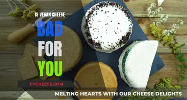 Vegan Cheese: Healthy or Unhealthy?