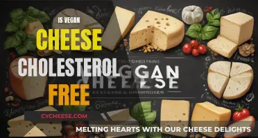 Vegan Cheese: Cholesterol-Free Superfood?