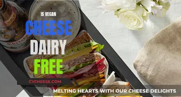 Vegan Cheese: Dairy-Free Delights