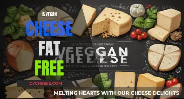 Vegan Cheese: Fat-Free or Fiction?