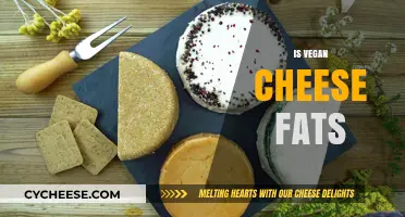 Is Vegan Cheese Fattening? Uncovering the Truth About Plant-Based Fats