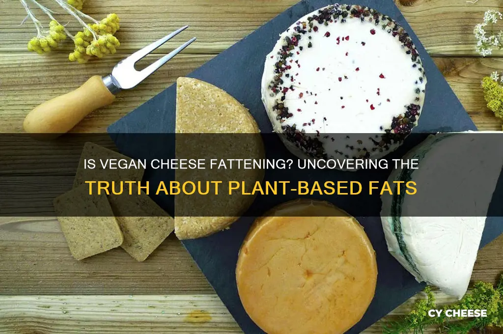 is vegan cheese fats