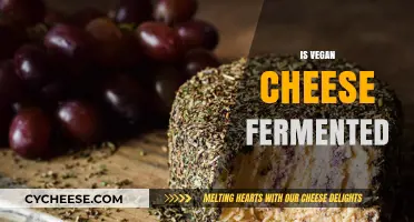 Is Vegan Cheese Fermented? Uncovering the Truth Behind Plant-Based Cheeses