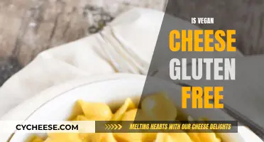 Vegan Cheese: Gluten-Free Option or Not?