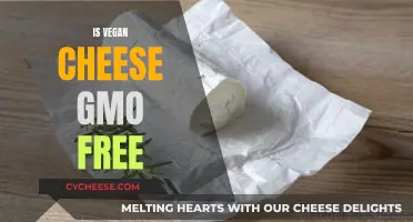 Vegan Cheese: GMO-Free or Not?