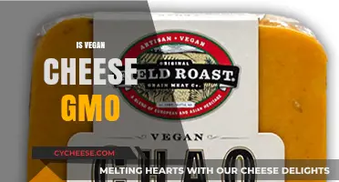 Is Vegan Cheese GMO? Uncovering the Truth Behind Plant-Based Cheese