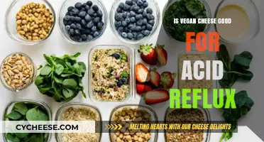 Vegan Cheese and Acid Reflux: A Healthy Alternative or Trigger?