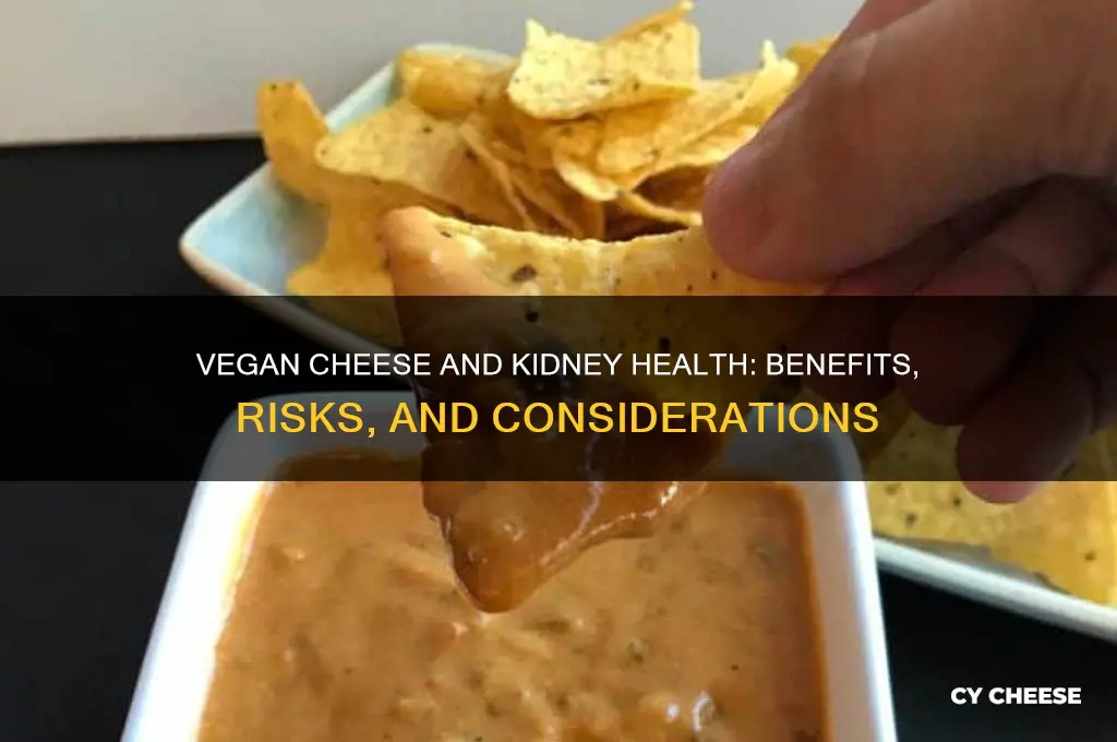 is vegan cheese good for kidney disease