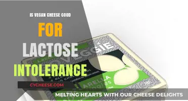 Vegan Cheese: A Lactose-Intolerant Friendly Alternative to Dairy Cheese?