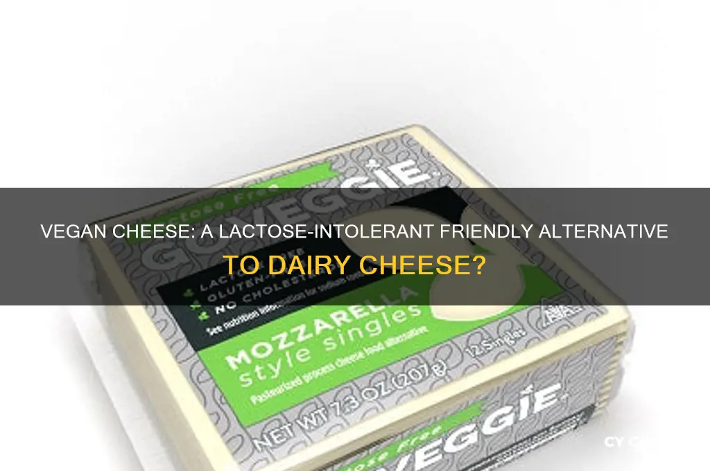 is vegan cheese good for lactose intolerance