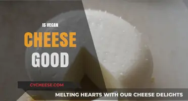 Is Vegan Cheese Good? A Tasty, Ethical Alternative Reviewed
