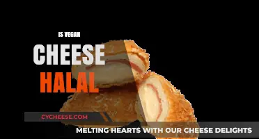 Is Vegan Cheese Halal? Exploring Ingredients and Certification