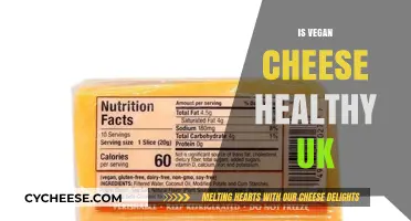 Vegan Cheese: Healthy or Unhealthy?