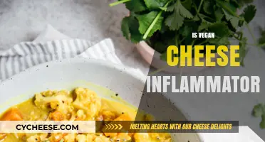 Is Vegan Cheese Inflammatory? Uncovering the Truth About Plant-Based Cheeses