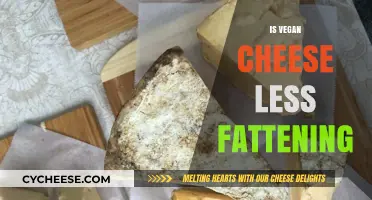 Is Vegan Cheese a Healthier, Lower-Calorie Alternative to Dairy Cheese?