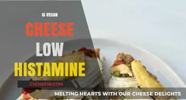 Is Vegan Cheese Low Histamine? Exploring Dairy-Free Options for Sensitivities