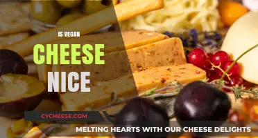 Is Vegan Cheese Nice? A Tasty Exploration of Plant-Based Alternatives