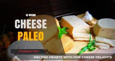 Is Vegan Cheese Paleo? Exploring Dairy-Free Options for Paleo Diets