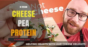 Exploring Vegan Cheese: Is Pea Protein the Secret Ingredient?