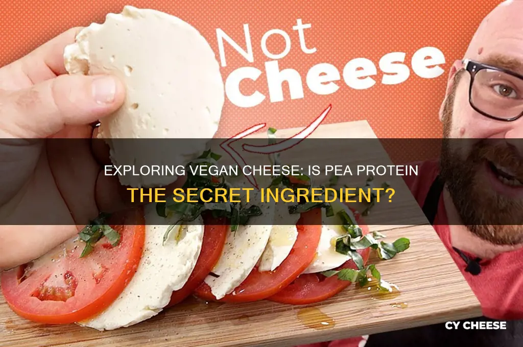 is vegan cheese pea protein