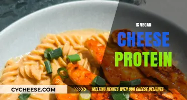 Is Vegan Cheese a Good Protein Source? Uncovering Nutritional Facts