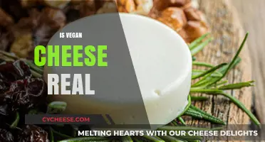 Is Vegan Cheese Real? Unraveling the Truth Behind Plant-Based Alternatives