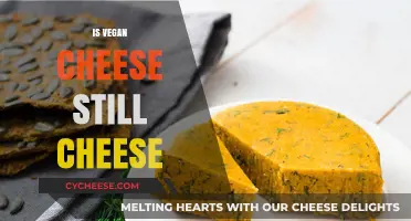 Is Vegan Cheese Truly Cheese? Debunking Myths and Exploring Alternatives