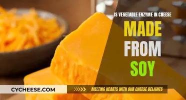 Cheese's Vegetable Enzyme: Soy-Based?