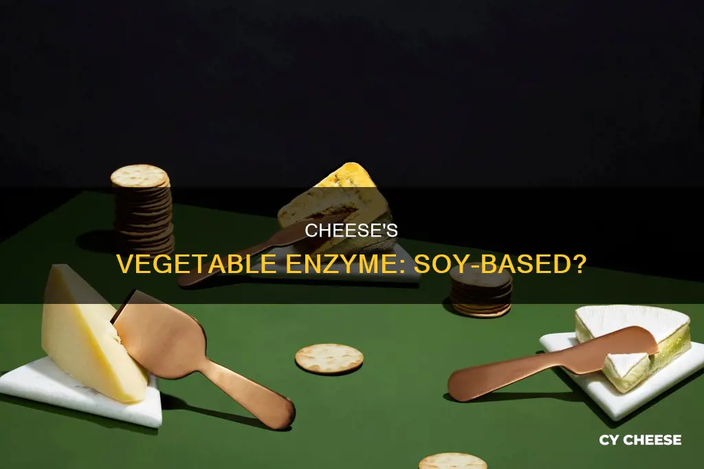 is vegetable enzyme in cheese made from soy