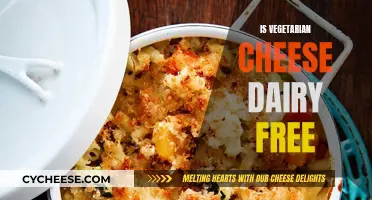 Vegetarian Cheese: Free of Dairy?