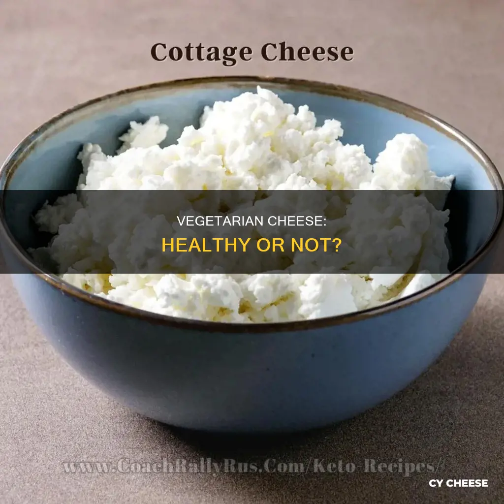 is vegetarian cheese healthy